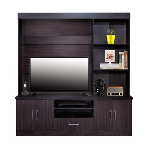 San-Yang Entertainment Center 208500